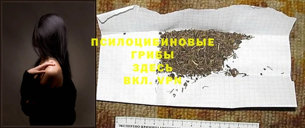 винт Армянск