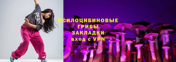 винт Армянск