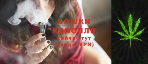 винт Армянск