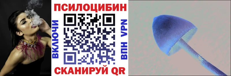 Галлюциногенные грибы мицелий Полысаево